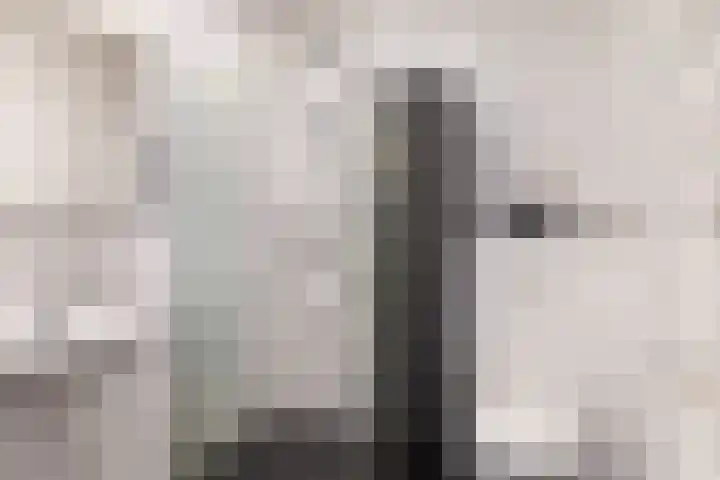 Johan uten Boomgaarterf 8 Odijk thumbnail 33