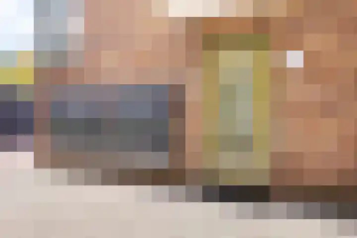 Johan uten Boomgaarterf 8 Odijk thumbnail 9