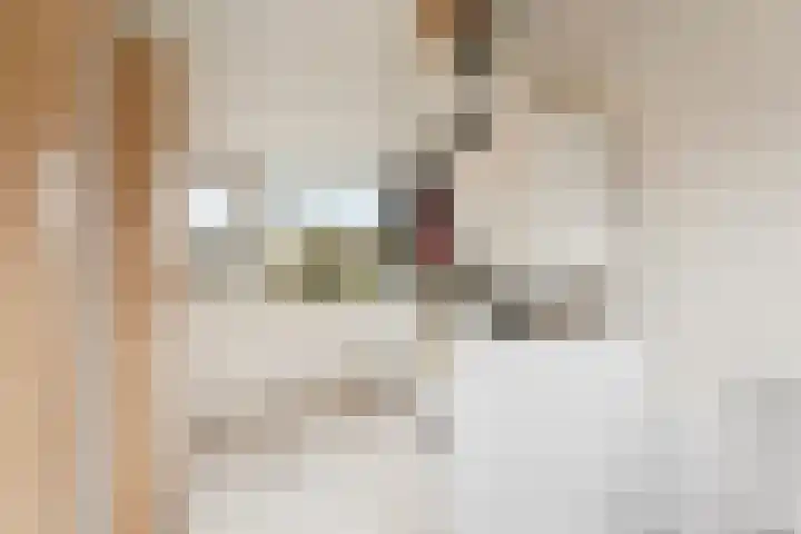 Johan van Arnhemstraat 12 Rozendaal thumbnail 34
