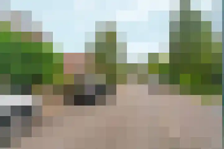 Johan van Arnhemstraat 12 Rozendaal thumbnail 43