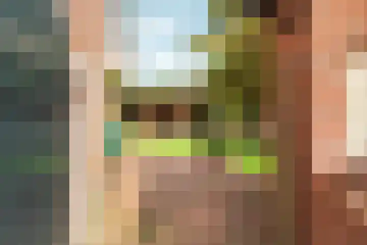 Johan van Arnhemstraat 12 Rozendaal thumbnail 45
