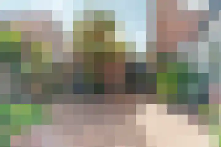 Johan van Arnhemstraat 12 Rozendaal thumbnail 46