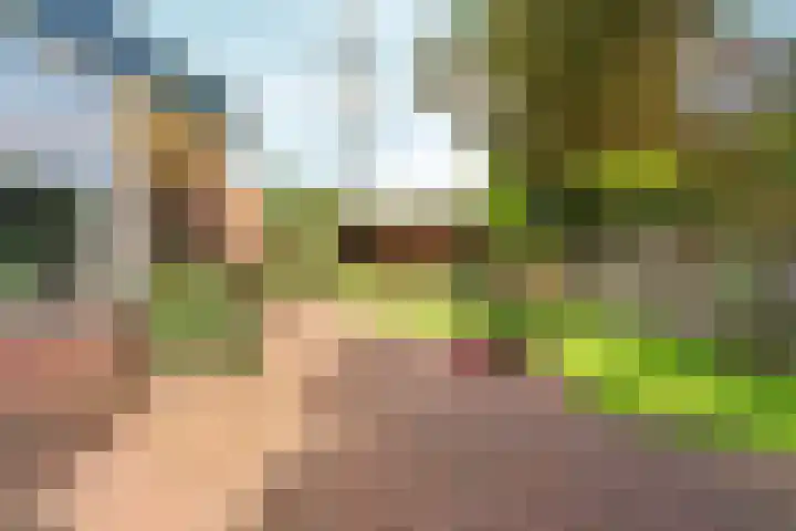 Johan van Arnhemstraat 12 Rozendaal thumbnail 47