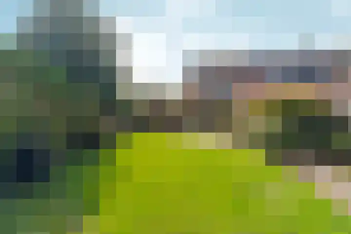 Johan van Arnhemstraat 12 Rozendaal thumbnail 48