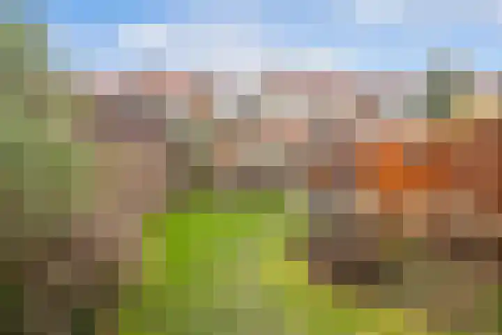 Johan van Arnhemstraat 15 Arnhem thumbnail 20