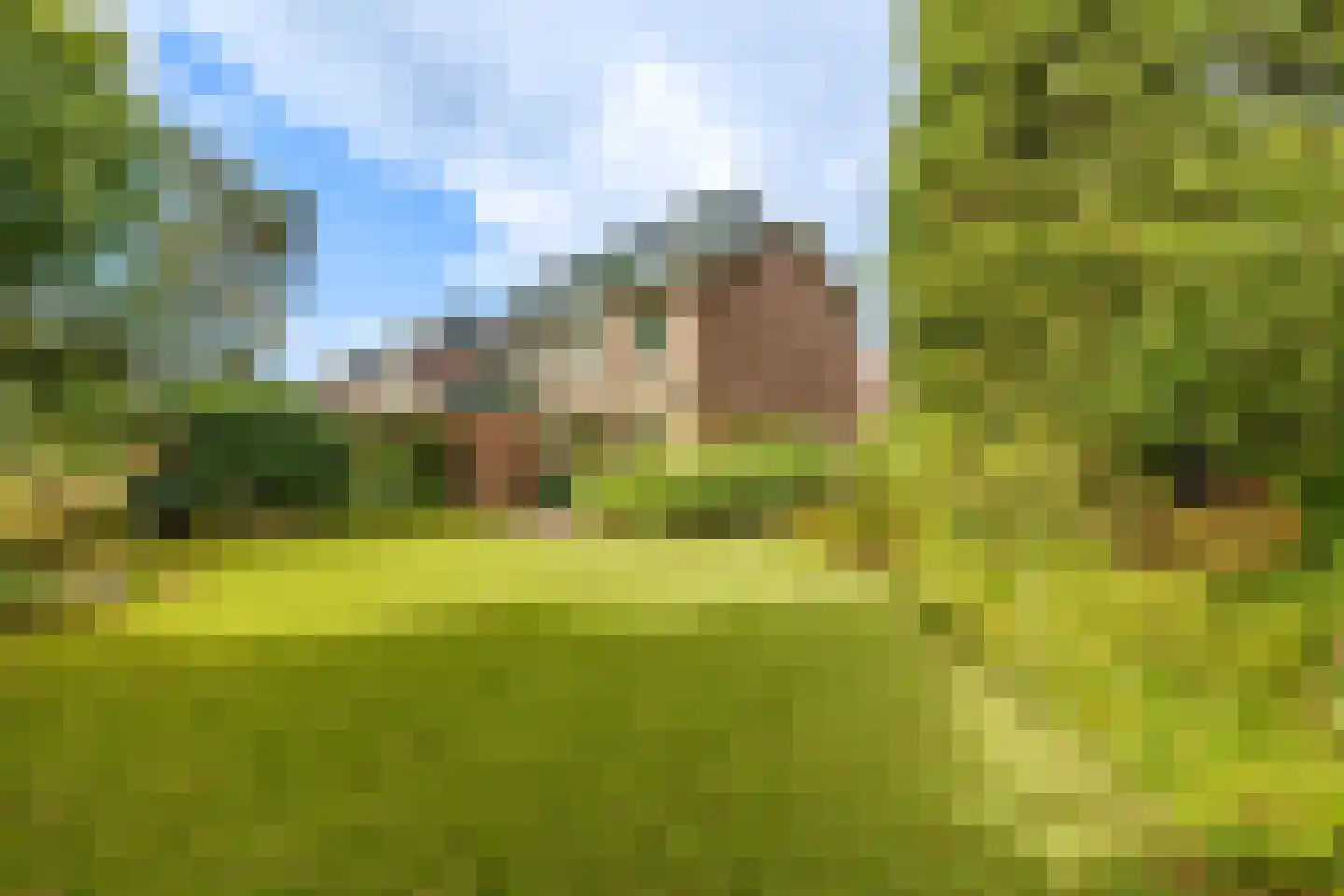 Johan van Arnhemstraat 31 Rozendaal thumbnail 27