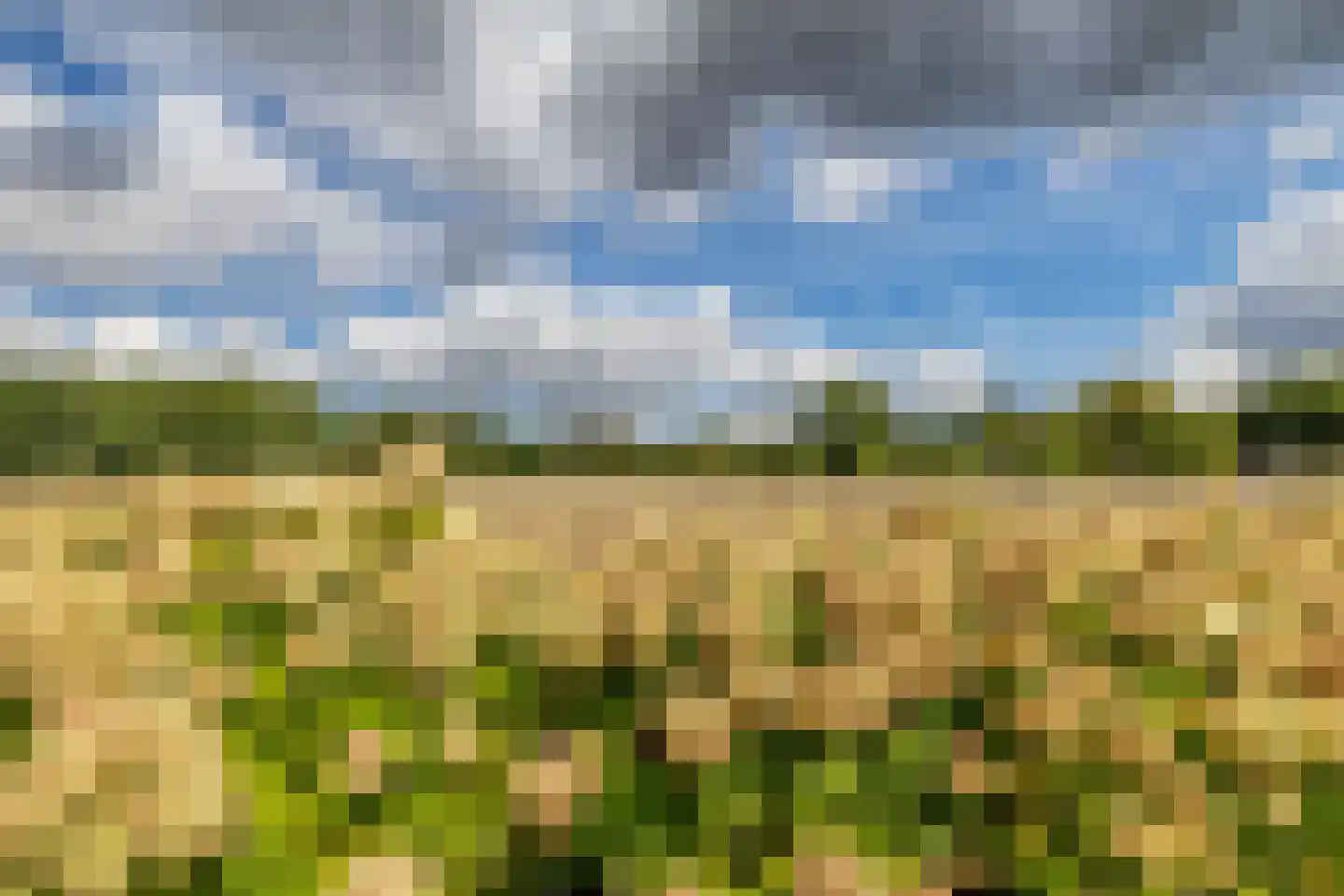 Johan van Arnhemstraat 31 Rozendaal thumbnail 34
