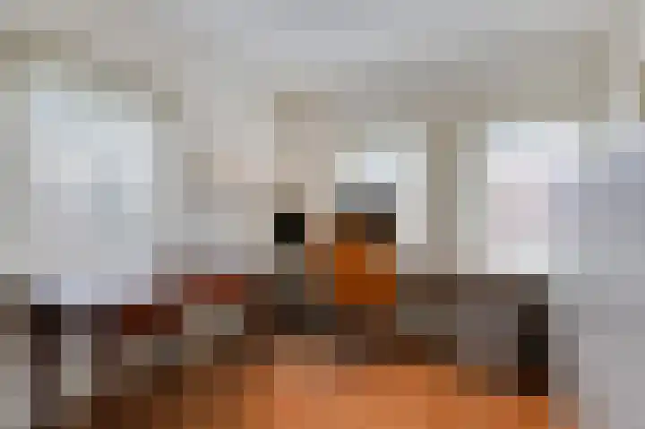 Johan van Arnhemstraat 6 Rozendaal thumbnail 20