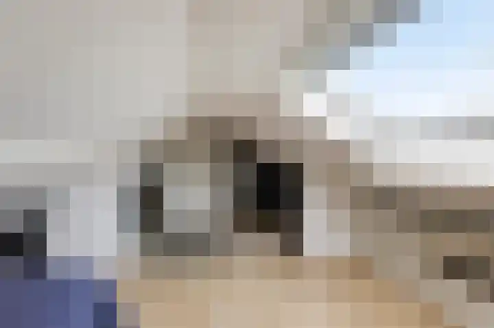 Johan van Arnhemstraat 6 Rozendaal thumbnail 22