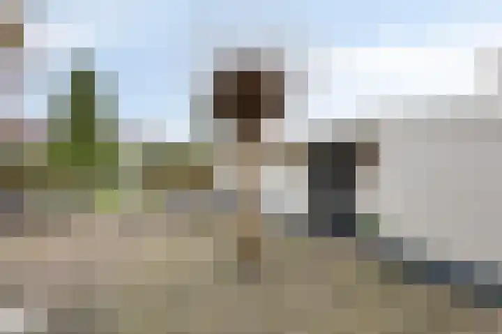 Johan van Arnhemstraat 6 Rozendaal thumbnail 24