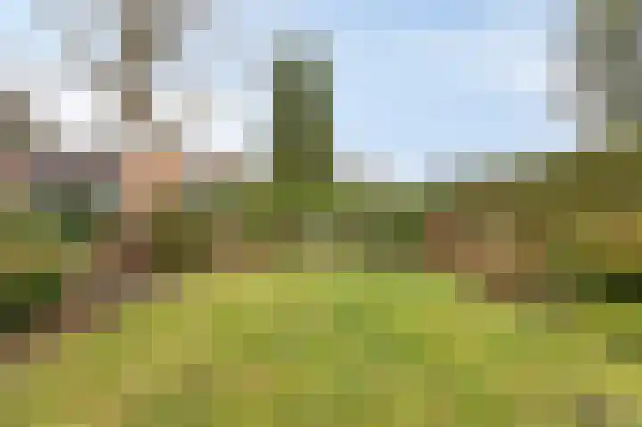 Johan van Arnhemstraat 6 Rozendaal thumbnail 26