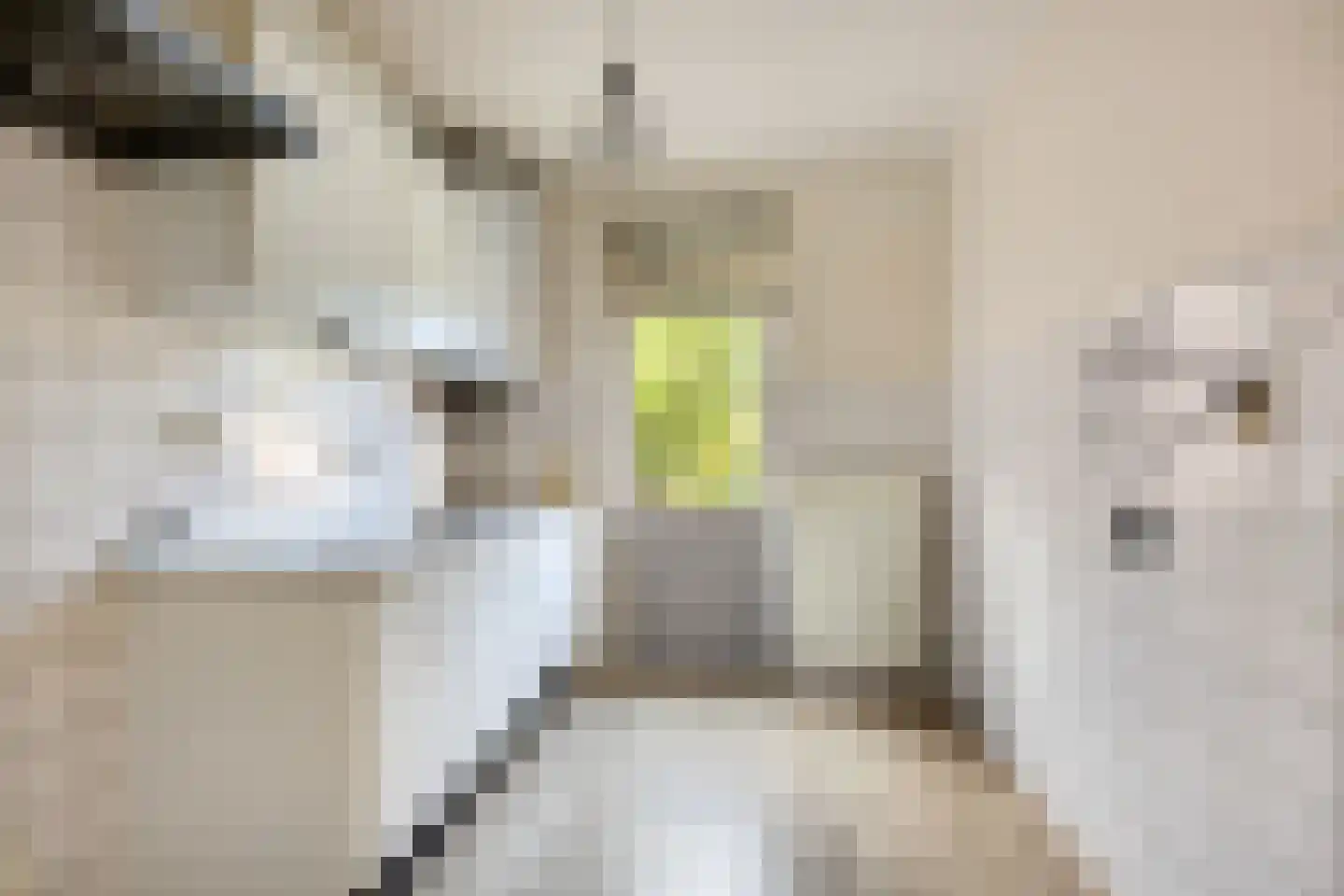 Johan van Bijnenstraat 23 Oss thumbnail 14