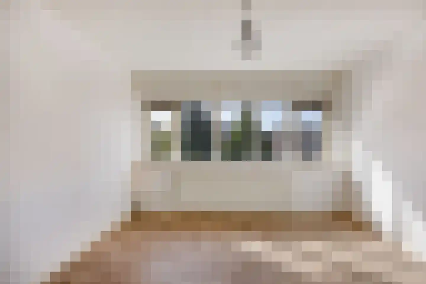 Johan van Bijnenstraat 23 Oss thumbnail 20