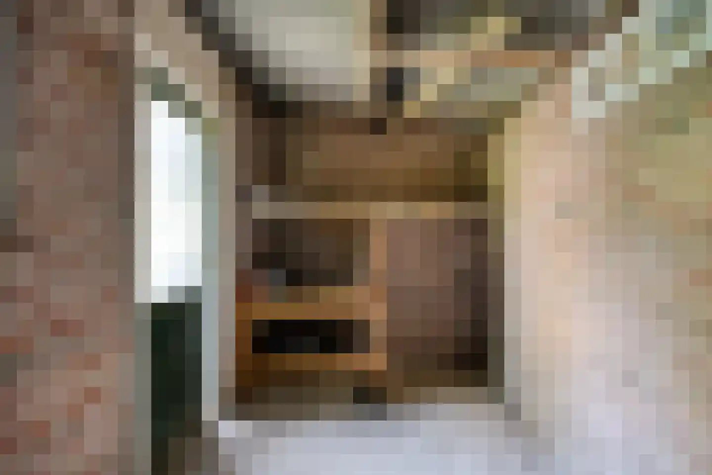 Johan van Bijnenstraat 23 Oss thumbnail 31