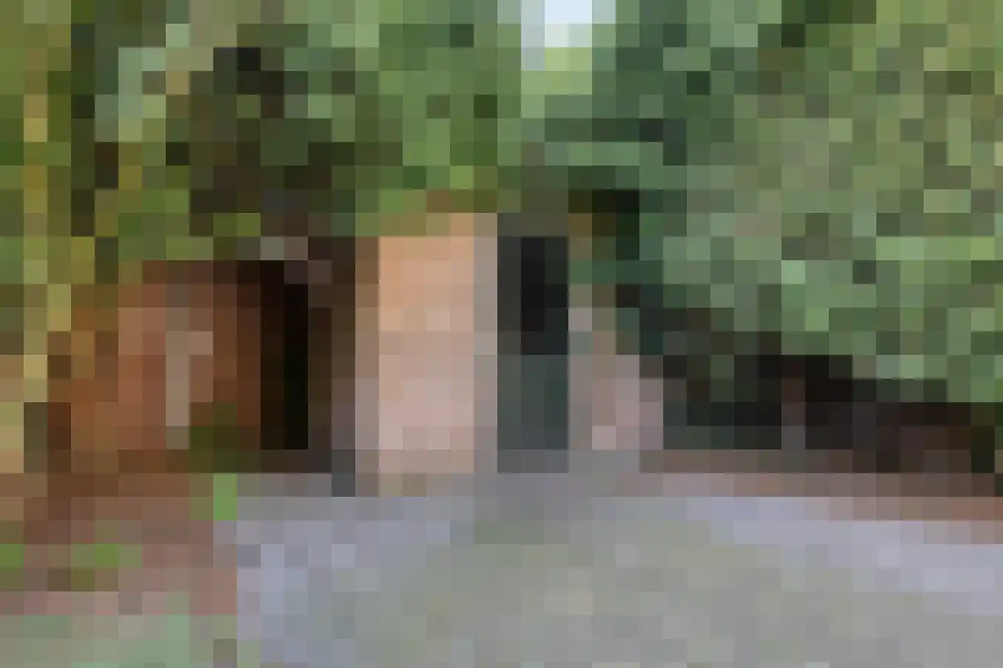 Johan van Bijnenstraat 23 Oss thumbnail 34