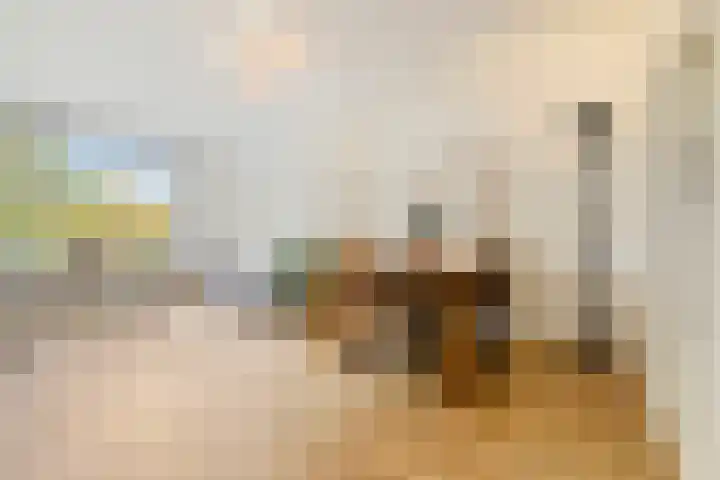 Johan van de Veldestraat 101 's-Hertogenbosch thumbnail 10