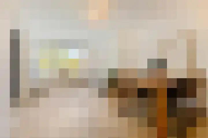 Johan van de Veldestraat 101 's-Hertogenbosch thumbnail 11