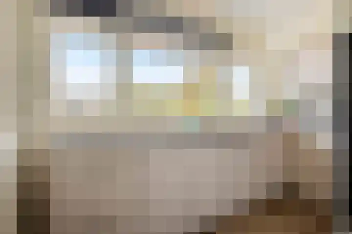 Johan van de Veldestraat 101 's-Hertogenbosch thumbnail 12