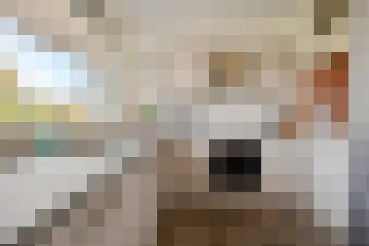 Johan van de Veldestraat 101 's-Hertogenbosch thumbnail 13