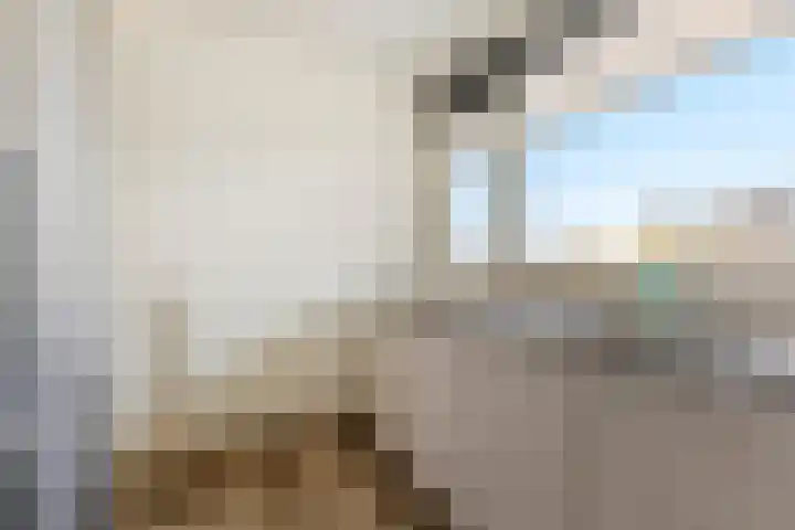 Johan van de Veldestraat 101 's-Hertogenbosch thumbnail 14