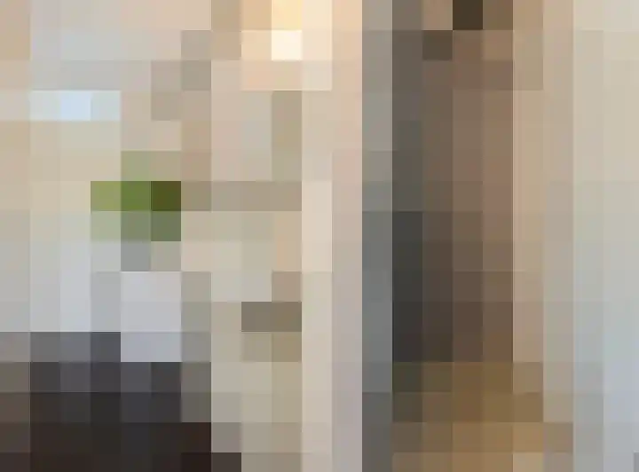 Johan van de Veldestraat 101 's-Hertogenbosch thumbnail 22