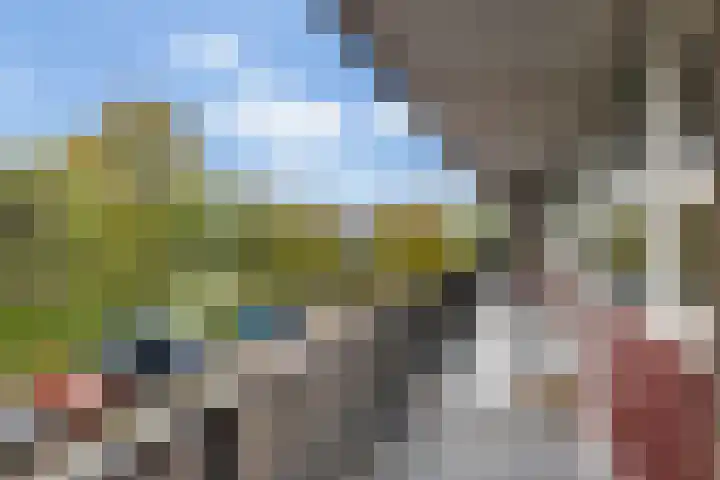 Johan van de Veldestraat 101 's-Hertogenbosch thumbnail 24