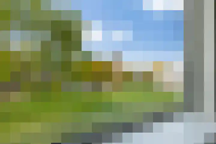 Johan van de Veldestraat 101 's-Hertogenbosch thumbnail 25