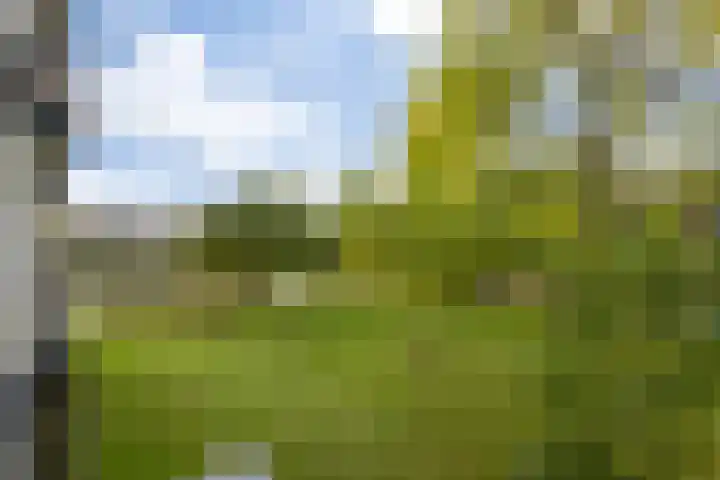 Johan van de Veldestraat 101 's-Hertogenbosch thumbnail 27