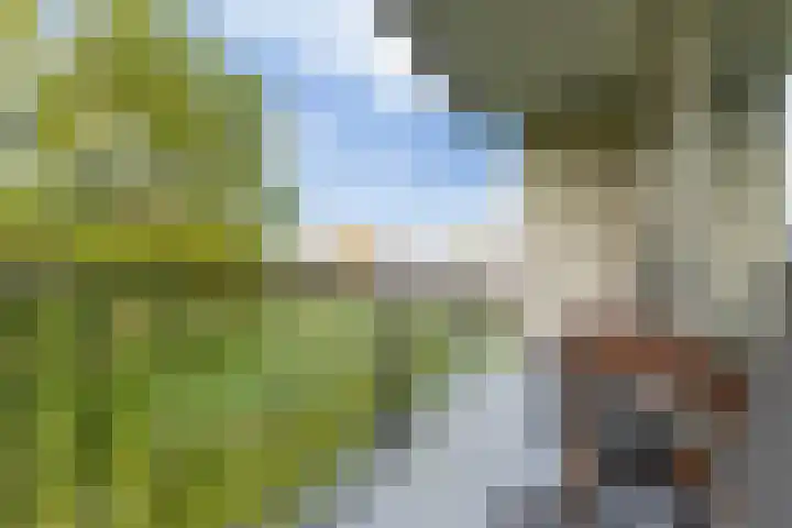Johan van de Veldestraat 101 's-Hertogenbosch thumbnail 7