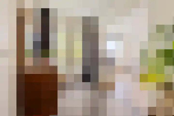 Johan van de Veldestraat 101 's-Hertogenbosch thumbnail 8