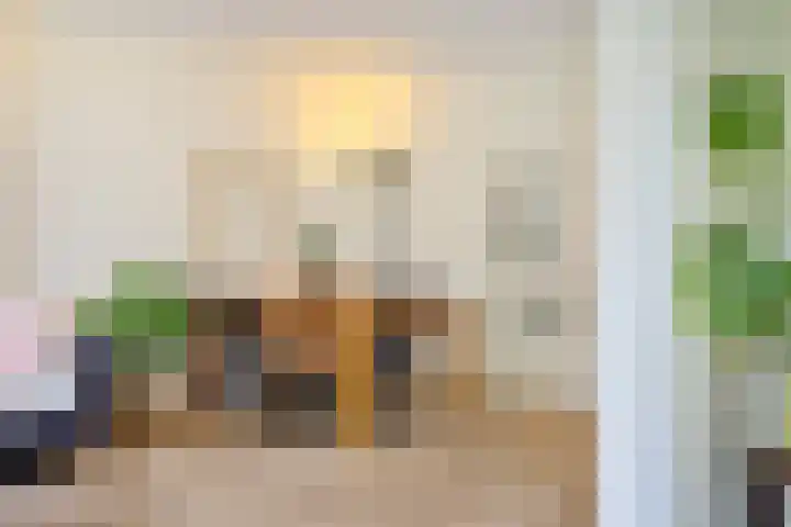 Johan van de Veldestraat 101 's-Hertogenbosch thumbnail 9