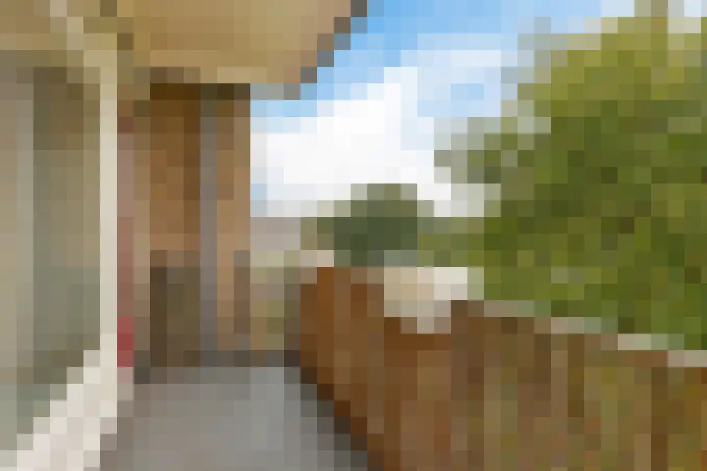 Johan van de Veldestraat 111 's-Hertogenbosch thumbnail 15