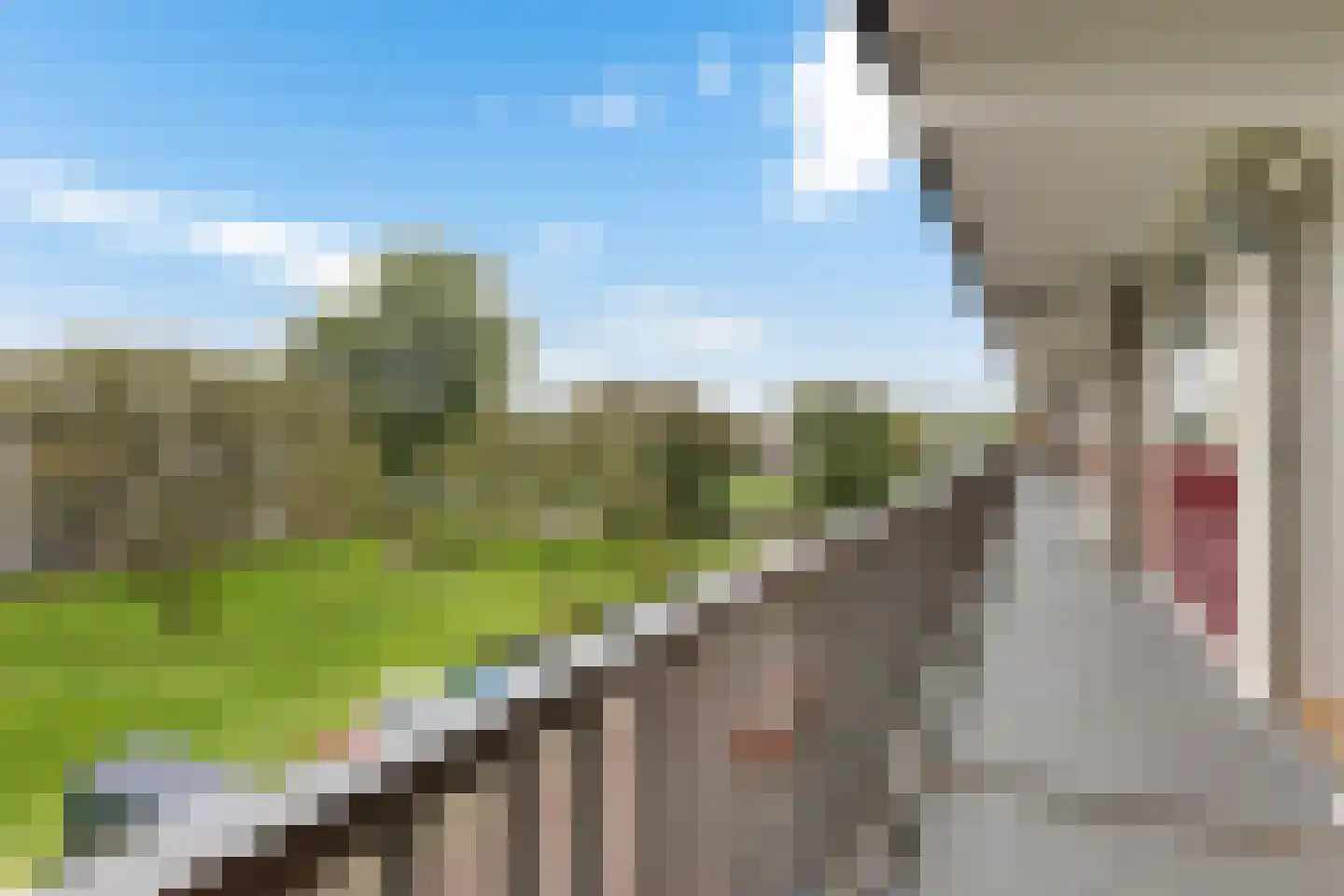 Johan van de Veldestraat 111 's-Hertogenbosch thumbnail 4