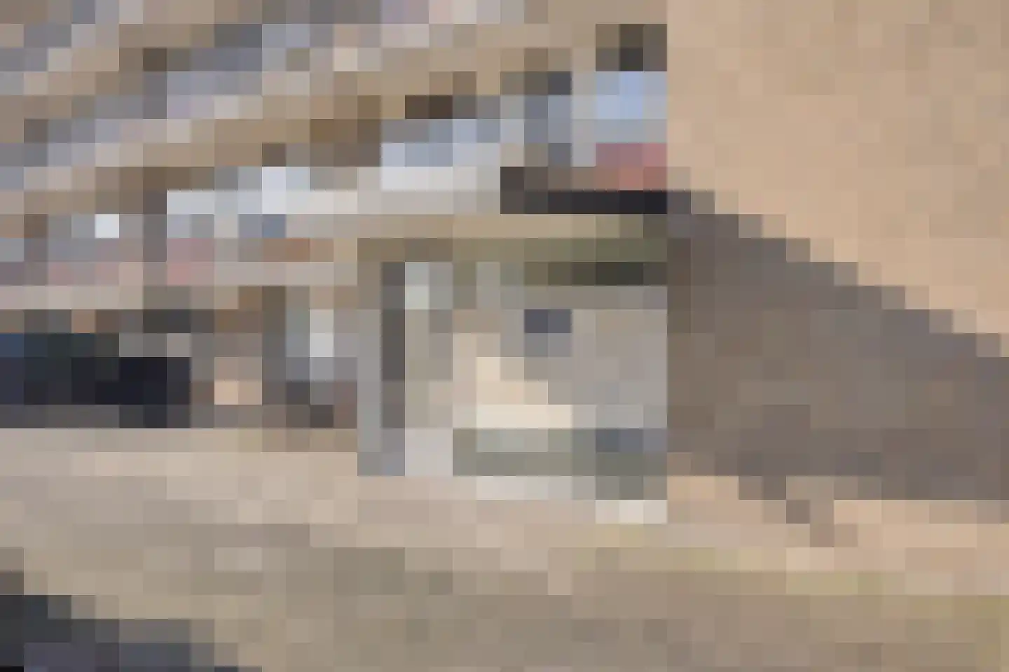 Johan van de Veldestraat 113 's-Hertogenbosch thumbnail 33