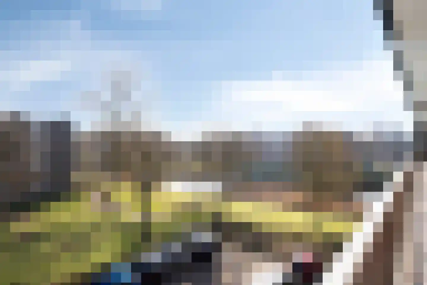 Johan van de Veldestraat 113 's-Hertogenbosch thumbnail 4