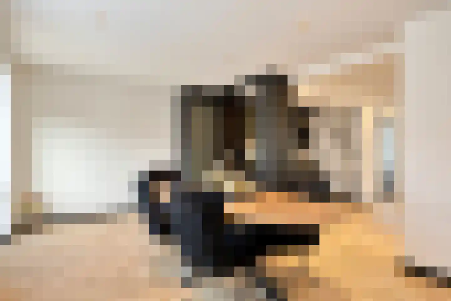 Johan van de Veldestraat 43 's-Hertogenbosch thumbnail 4