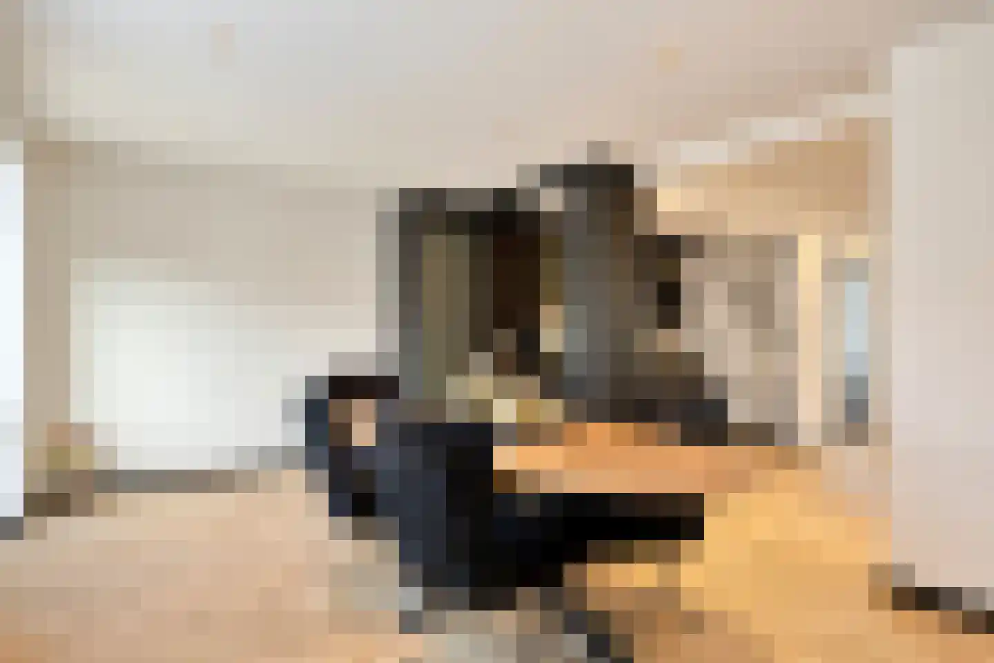 Johan van de Veldestraat 43 's-Hertogenbosch thumbnail 4