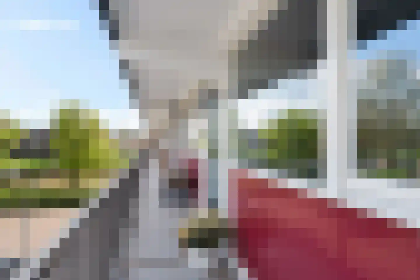 Johan van de Veldestraat 99 's-Hertogenbosch thumbnail 10