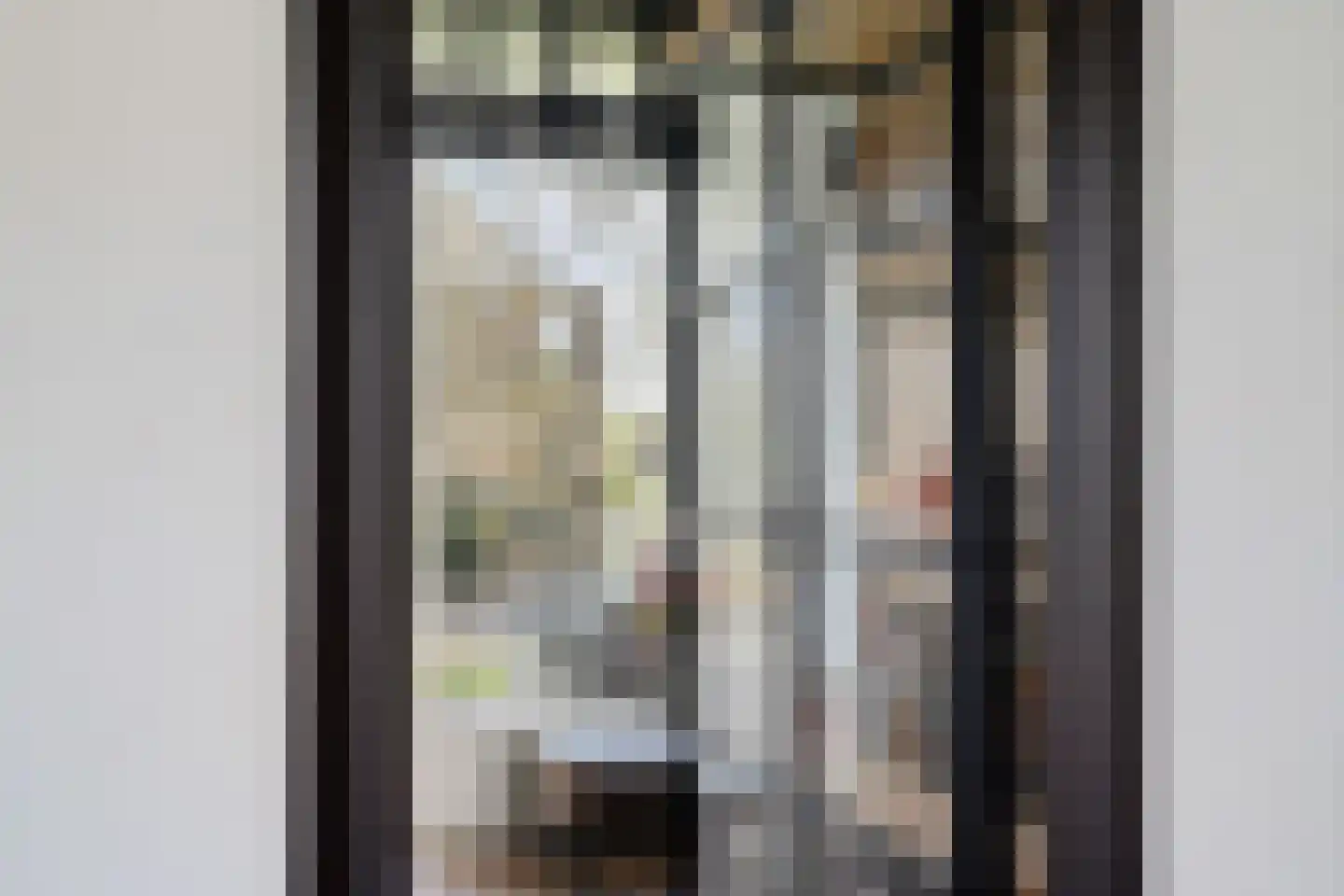 Johan van de Veldestraat 99 's-Hertogenbosch thumbnail 28