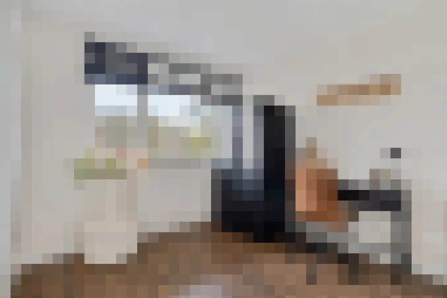 Johan van de Veldestraat 99 's-Hertogenbosch thumbnail 33