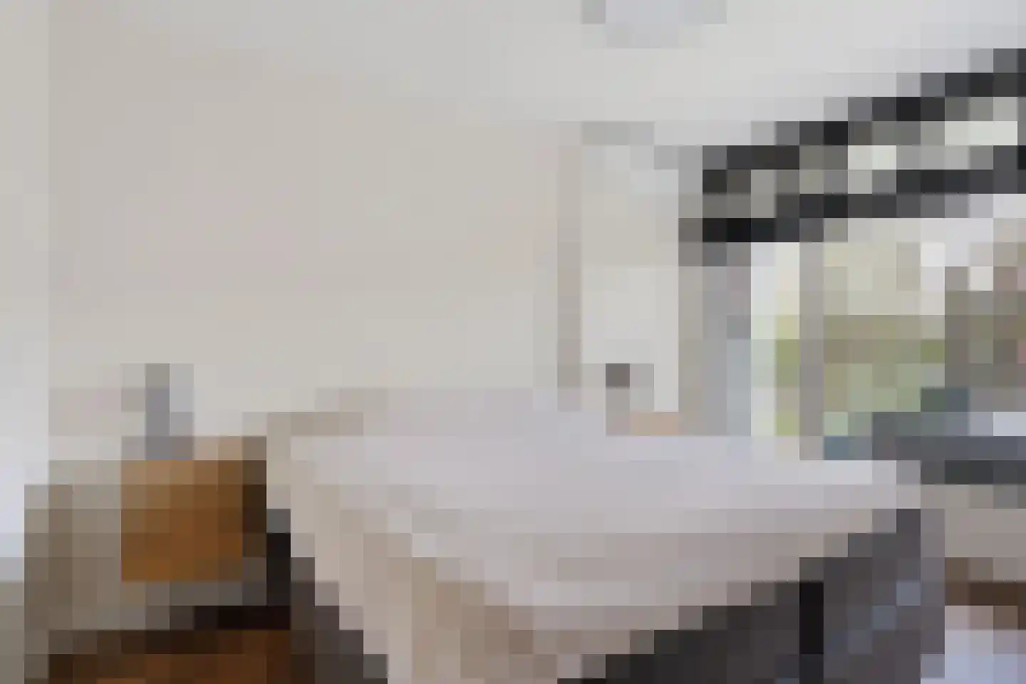 Johan van de Veldestraat 99 's-Hertogenbosch thumbnail 36