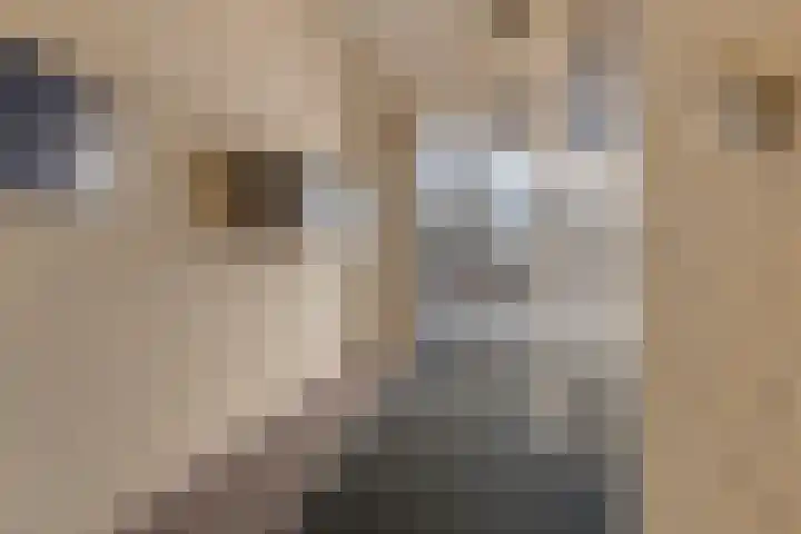 Johan van den Kornputplein 30 Delfzijl thumbnail 13