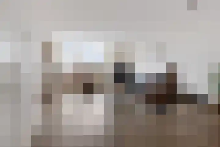Johan van den Kornputplein 30 Delfzijl thumbnail 20