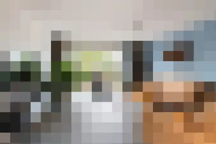 Johan van den Kornputstraat 32 Wezep thumbnail 11