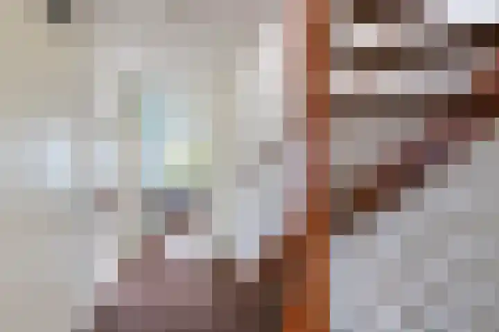 Johan van den Kornputstraat 32 Wezep thumbnail 23