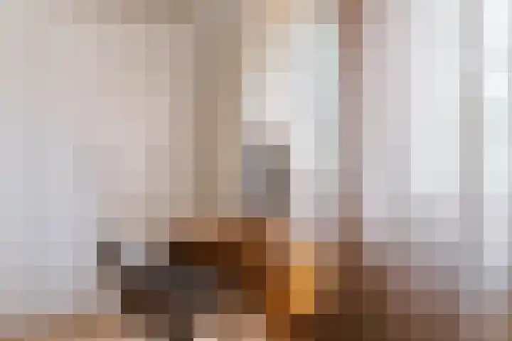 Johan van den Kornputstraat 32 Wezep thumbnail 31