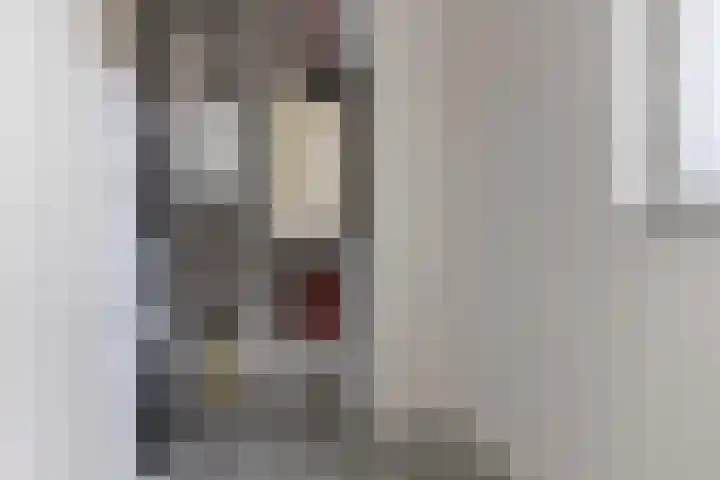 Johan van den Kornputstraat 32 Wezep thumbnail 33