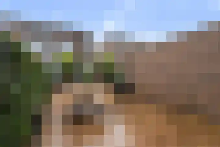Johan van den Kornputstraat 32 Wezep thumbnail 39