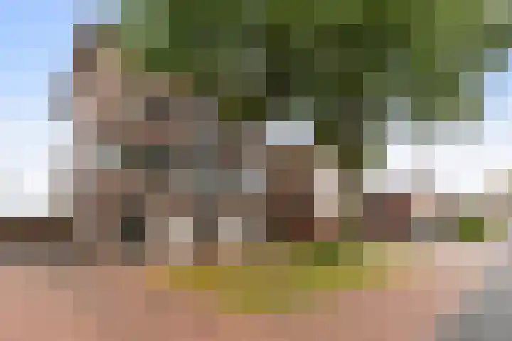 Johan van den Kornputstraat 32 Wezep thumbnail 5