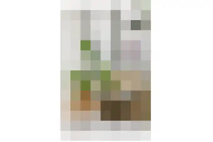 Johan van der Keukenstraat 18 Amsterdam thumbnail 11